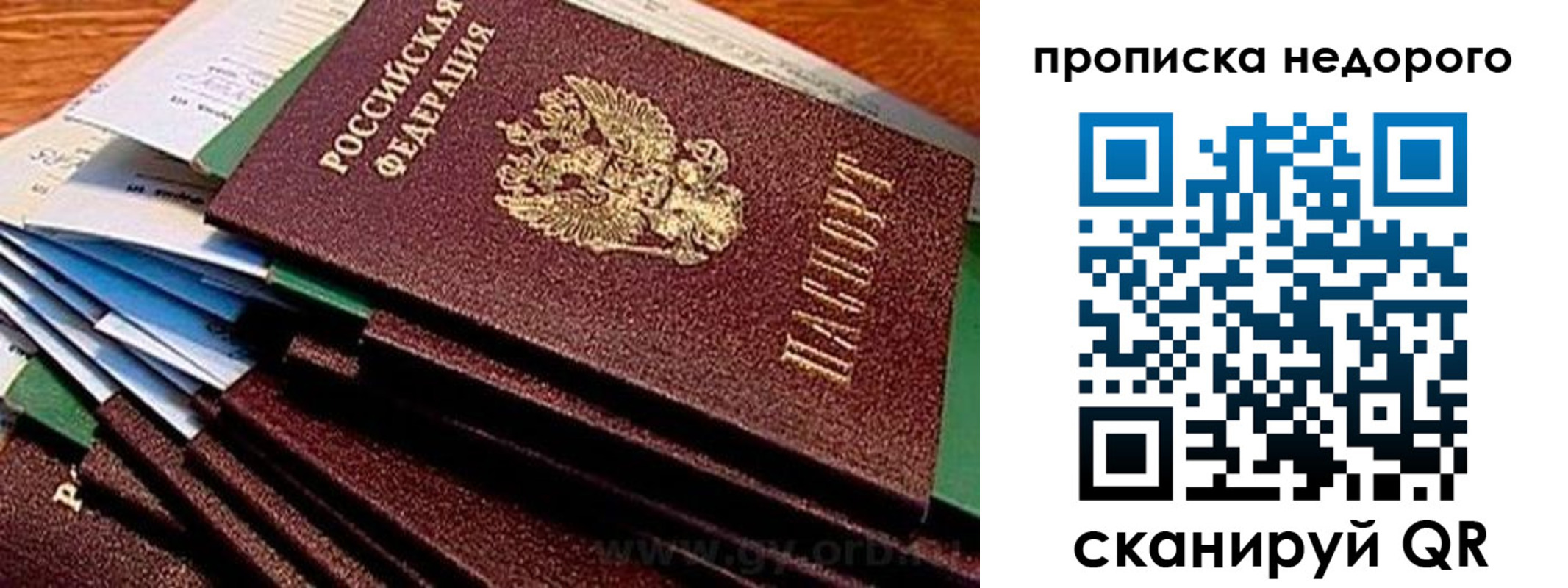 прописка паспорт в Смоленске